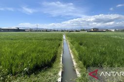 Pemprov Gorontalo gunakan pompa air untuk jaga produksi pangan