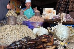 Kemenkum Malut: Tarif merek UMK dipertahankan dan hak cipta lagu gratis