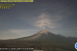 Semeru erupsi dengan tinggi letusan 800 meter di atas puncak