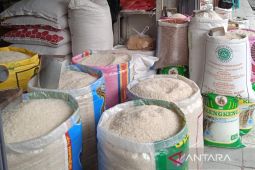 Pengamat Minta Bulog edukasi mutu beras premium