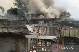 Damkar Cianjur: Satu unit pemadam tangani kebakaran lahan serta vila