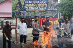 Polres Aceh Selatan musnahkan 110 batang ganja