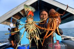 Jala merah putih membentang sambut kemerdekaan di Bumi Etam