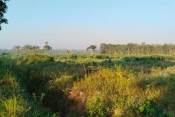 Kalsel  kemarin dari  cetak sawah hingga wisata religi