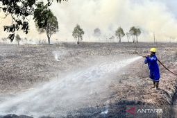Kalsel pertimbangkan OMC kedua antisipasi karhutla