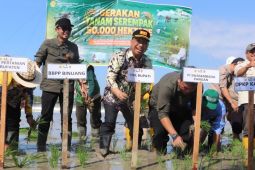 Tapin percepat tanam 846 hektare dukung swasembada pangan