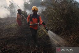 Sudah sepekan petugas berjibaku padamkan karhutla di Kubu Raya
