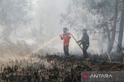 BPBD Palangka Raya tangani 130 karhutla selama Juni-Juli 2026