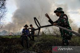 Wagub Kalteng dorong akademisi lahirkan inovasi untuk atasi karhutla