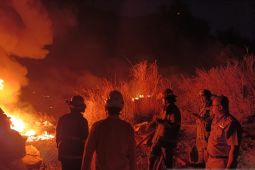 Disdamkar Bandung catat ada 88 kebakaran lahan hingga Juli 2026