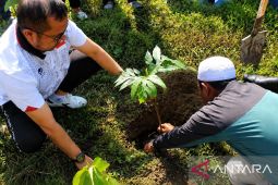 Pemkab Buru dan TNI lakukan gerakan tanam sukun untuk ketahanan pangan