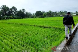 Kementan terapkan skema swakelola percepat cetak sawah di Papua Barat