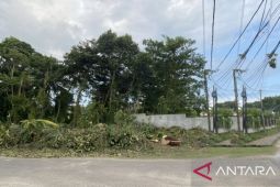 Elvi Diana inisiasi gerakan penataan lingkungan di Bangka Barat