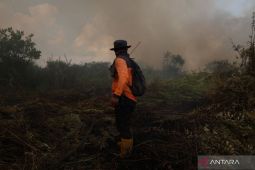 Kasus ISPA di Kota Pontianak meningkat 10 persen dampak kabut asap