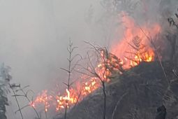 TNBTS tutup sebagian akses wisata Gunung Bromo imbas kebakaran hutan Blok Batengan