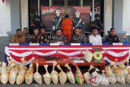Indonesian Navy seizes illegal tin sand bound for Malaysia
