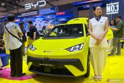 BYD ungkap rencana soal Atto 1 generasi baru