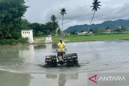 Distan Gorontalo dorong petani ikut asuransi hadapi risiko gagal panen