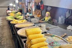 Dinas Pertanian: Jagung tetap jadi penopang utama ekonomi Gorontalo