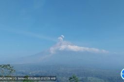 Semeru lima kali erupsi dengan tinggi letusan hingga 700 meter