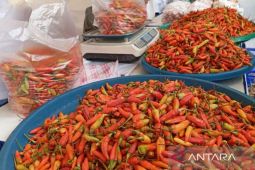 BI Kaltim dan TPID tekan inflasi melalui kelancaran distribusi pangan