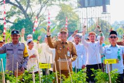 Wabup HSU hadiri panen cabai di Ponpes Darussalam