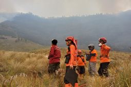 BPBD Probolinggo siaga penuh antisipasi kebakaran Gunung Bromo meluas