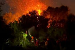 Karhutla di Kotim semakin marak, pemadaman tidak bisa langsung tuntas