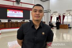 Legislator Barsel berharap PLN tepati janji akhiri pemadaman bergilir 5 Agustus