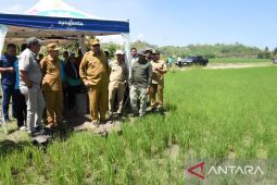Cetak sawah baru di Pohuwato perkuat produksi pangan Gorontalo