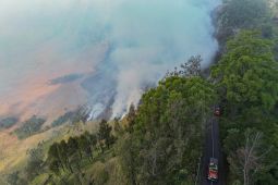 Kebakaran hutan melanda Bromo, sebagian akses wisata ditutup demi keselamatan