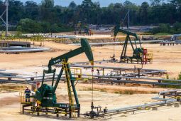 PHR terapkan tiga strategi dukung cadangan energi nasional