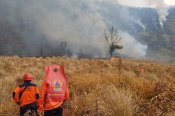 Karhutla di Gunung Bromo meluas hingga Probolinggo capai 7,9 hektare