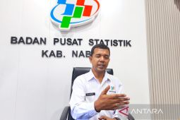 BPS:  Panen dini picu deflasi di Papua Tengah