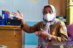 Dinas P3A Nabire tangani 25 kasus perempuan dan anak