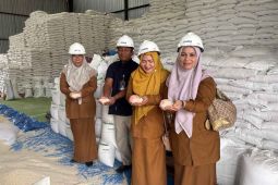 Pemkab Aceh Selatan cek kualitas beras bantuan sebelum disalurkan