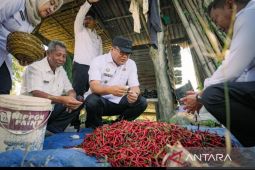 Pemkab Deli Serdang pastikan dukungan untuk petani terus diperkuat