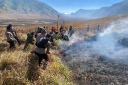 Polres Probolinggo terjunkan personel bantu padamkan karhutla Bromo