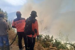 BPBD: Kebakaran di Bromo mulai menjalar ke arah Malang