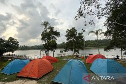 Kelompok tani hutan diarahkan untuk diversifikasi komoditas non-kayu
