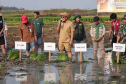 Kalsel kemarin dari KDMP hingga tanam padi