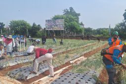 DPRD Kota Depok minta konsep pertanian perkotaan dikembangkan