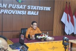 BPS Bali ingatkan ketimpangan rendah tidak selalu baik