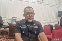 Penyelesaian batas Jambi dan Sumsel masih tahap inventarisasi