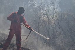 Dishut Kalsel tutup sementara Tahura SA percepat penanganan karhutla