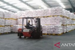 Realisasi pupuk subsidi di Jabar hingga akhir Juli 2026 capai 55 persen di tengah kemarau