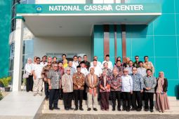 Menteri PPN: Pengembangan singkong di Indonesia miliki prospek besar