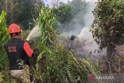 BPBD Kalbar hadapi kendala tangani karhutla dua kabupaten