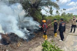 Pemkab Murung Raya tingkatkan kewaspadaan karhutla