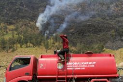 Penanganan kebakaran hutan di kawasan Gunung Bromo
